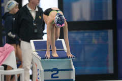 XXVIII Gran Premio Shark
20-21 Dicembre 2025
Piscina Scandone Napoli