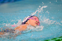 XXVIII Gran Premio Shark
20-21 Dicembre 2025
Piscina Scandone Napoli