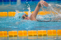 XXVIII Gran Premio Shark
20-21 Dicembre 2025
Piscina Scandone Napoli