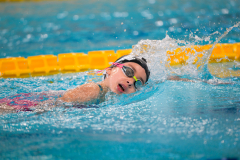 XXVIII Gran Premio Shark
20-21 Dicembre 2025
Piscina Scandone Napoli