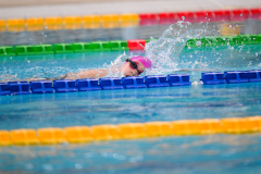 XXVIII Gran Premio Shark20-21 Dicembre 2025Piscina Scandone Napoli