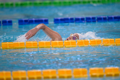 XXVIII Gran Premio Shark20-21 Dicembre 2025Piscina Scandone Napoli