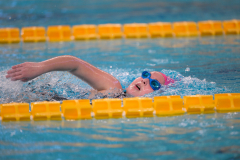 XXVIII Gran Premio Shark20-21 Dicembre 2025Piscina Scandone Napoli