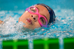 XXVIII Gran Premio Shark20-21 Dicembre 2025Piscina Scandone Napoli