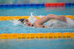 XXVIII Gran Premio Shark20-21 Dicembre 2025Piscina Scandone Napoli