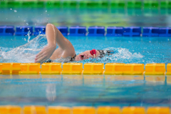 XXVIII Gran Premio Shark
20-21 Dicembre 2025
Piscina Scandone Napoli