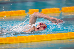 XXVIII Gran Premio Shark
20-21 Dicembre 2025
Piscina Scandone Napoli