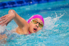 XXVIII Gran Premio Shark
20-21 Dicembre 2025
Piscina Scandone Napoli