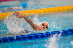 XXVIII Gran Premio Shark
20-21 Dicembre 2025
Piscina Scandone Napoli