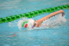 XXVIII Gran Premio Shark
20-21 Dicembre 2025
Piscina Scandone Napoli