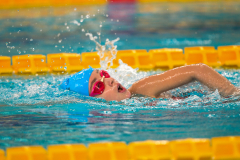 XXVIII Gran Premio Shark
20-21 Dicembre 2025
Piscina Scandone Napoli