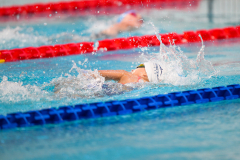 XXVIII Gran Premio Shark
20-21 Dicembre 2025
Piscina Scandone Napoli