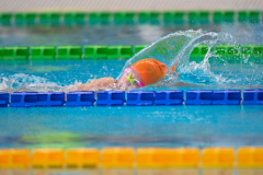 XXVIII Gran Premio Shark
20-21 Dicembre 2025
Piscina Scandone Napoli