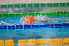 XXVIII Gran Premio Shark
20-21 Dicembre 2025
Piscina Scandone Napoli