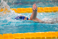 XXVIII Gran Premio Shark
20-21 Dicembre 2025
Piscina Scandone Napoli