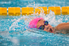 XXVIII Gran Premio Shark
20-21 Dicembre 2025
Piscina Scandone Napoli