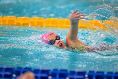 XXVIII Gran Premio Shark
20-21 Dicembre 2025
Piscina Scandone Napoli