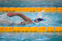 XXVIII Gran Premio Shark
20-21 Dicembre 2025
Piscina Scandone Napoli