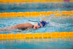 XXVIII Gran Premio Shark
20-21 Dicembre 2025
Piscina Scandone Napoli