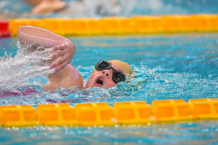 XXVIII Gran Premio Shark
20-21 Dicembre 2025
Piscina Scandone Napoli