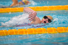 XXVIII Gran Premio Shark
20-21 Dicembre 2025
Piscina Scandone Napoli