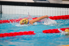 XXVIII Gran Premio Shark
20-21 Dicembre 2025
Piscina Scandone Napoli