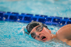 XXVIII Gran Premio Shark20-21 Dicembre 2025Piscina Scandone Napoli