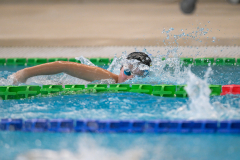 XXVIII Gran Premio Shark20-21 Dicembre 2025Piscina Scandone Napoli