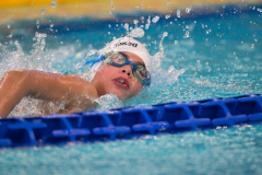 XXVIII Gran Premio Shark
20-21 Dicembre 2025
Piscina Scandone Napoli