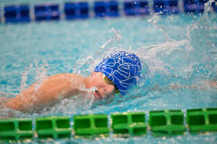 XXVIII Gran Premio Shark
20-21 Dicembre 2025
Piscina Scandone Napoli