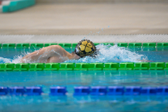 XXVIII Gran Premio Shark
20-21 Dicembre 2025
Piscina Scandone Napoli