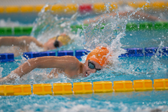 XXVIII Gran Premio Shark
20-21 Dicembre 2025
Piscina Scandone Napoli