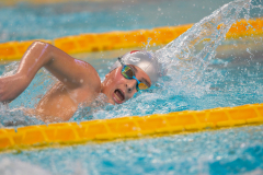 XXVIII Gran Premio Shark
20-21 Dicembre 2025
Piscina Scandone Napoli