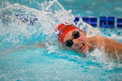 XXVIII Gran Premio Shark
20-21 Dicembre 2025
Piscina Scandone Napoli