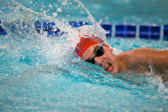 XXVIII Gran Premio Shark
20-21 Dicembre 2025
Piscina Scandone Napoli