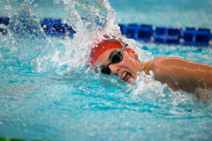 XXVIII Gran Premio Shark
20-21 Dicembre 2025
Piscina Scandone Napoli