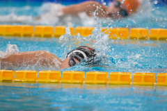 XXVIII Gran Premio Shark
20-21 Dicembre 2025
Piscina Scandone Napoli