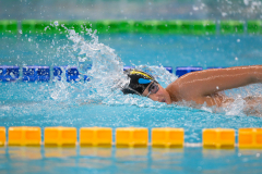 XXVIII Gran Premio Shark
20-21 Dicembre 2025
Piscina Scandone Napoli