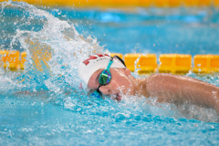 XXVIII Gran Premio Shark
20-21 Dicembre 2025
Piscina Scandone Napoli