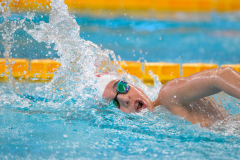 XXVIII Gran Premio Shark
20-21 Dicembre 2025
Piscina Scandone Napoli