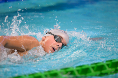 XXVIII Gran Premio Shark
20-21 Dicembre 2025
Piscina Scandone Napoli