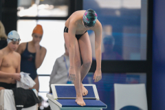 XXVIII Gran Premio Shark
20-21 Dicembre 2025
Piscina Scandone Napoli