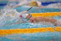 XXVIII Gran Premio Shark
20-21 Dicembre 2025
Piscina Scandone Napoli