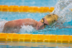 XXVIII Gran Premio Shark
20-21 Dicembre 2025
Piscina Scandone Napoli