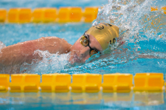 XXVIII Gran Premio Shark
20-21 Dicembre 2025
Piscina Scandone Napoli