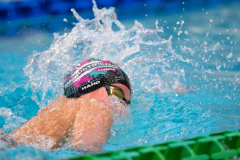 XXVIII Gran Premio Shark
20-21 Dicembre 2025
Piscina Scandone Napoli