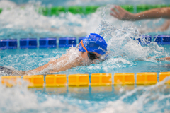 XXVIII Gran Premio Shark
20-21 Dicembre 2025
Piscina Scandone Napoli