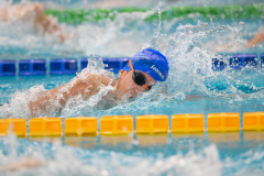 XXVIII Gran Premio Shark
20-21 Dicembre 2025
Piscina Scandone Napoli