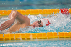 XXVIII Gran Premio Shark
20-21 Dicembre 2025
Piscina Scandone Napoli
