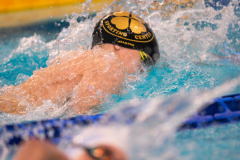 XXVIII Gran Premio Shark
20-21 Dicembre 2025
Piscina Scandone Napoli